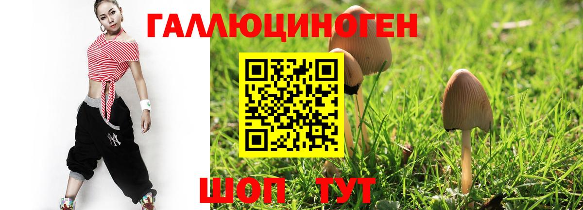 Псилоцибиновые грибы ЛСД  Галлюциногенные грибы Psilocybine cubensis  Вход с VPN  наркошоп  Нефтекумск 