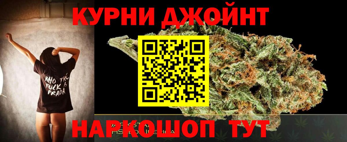 Марихуана сатива Нефтекумск
